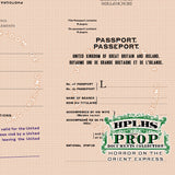 Detail view of vintage British passport
