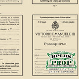 Detail view of vintage Italian passport