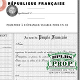 Detail view of vintage French passport